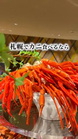 旅と北海道｜ROYのTikTok投稿