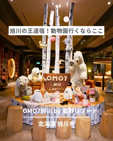 旅と北海道｜ROYのTikTok投稿