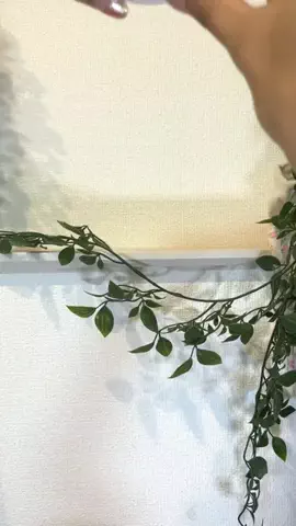 solosoloのTikTok投稿