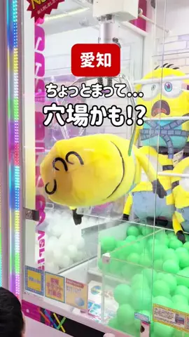 tommyが巡るおでかけのTikTok投稿