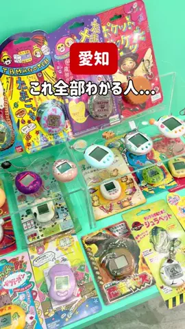 tommyが巡るおでかけのTikTok投稿