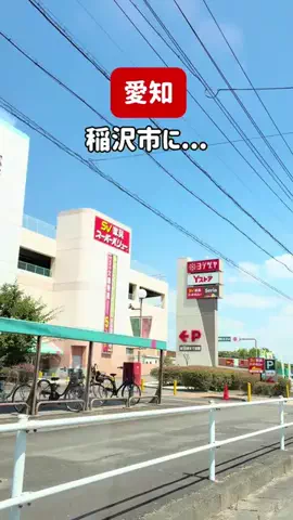 tommyが巡るおでかけのTikTok投稿