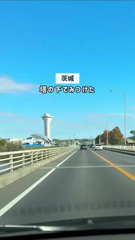 茨城ガイド📕あせこ【お出かけ・グルメ・観光・イベント】のTikTok投稿