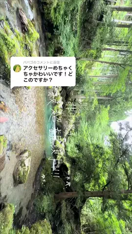 たまごやキ🥚のTikTok投稿