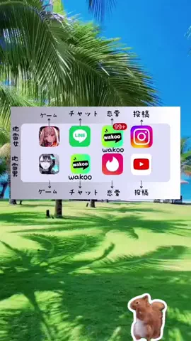 SのTikTok投稿