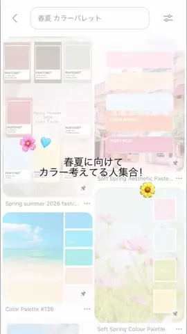 🐟のTikTok投稿