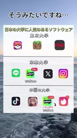 SのTikTok投稿