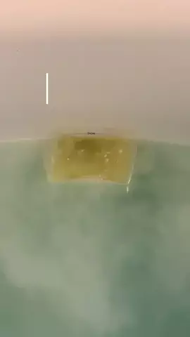 きぃのTikTok投稿