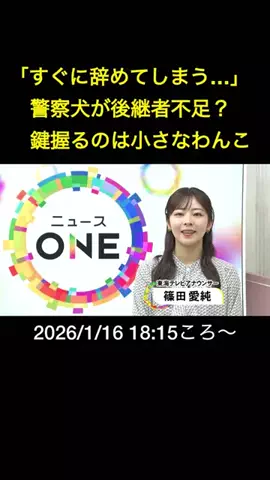 東海テレビニュースONEのTikTok投稿