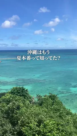 沖縄グルメ／OKINAWA SELECTのTikTok投稿
