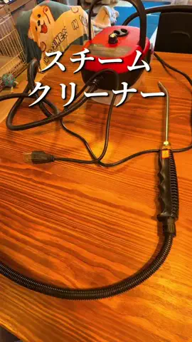 焼きビーフンのTikTok投稿