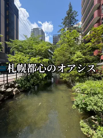 日本語くまさんのTikTok投稿