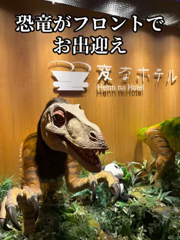 日本語くまさんのTikTok投稿