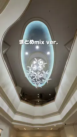 ともみんの大人旅のTikTok投稿