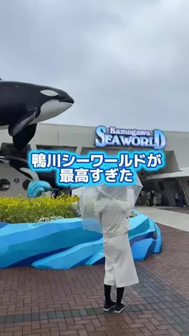ともみんの大人旅のTikTok投稿
