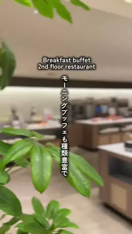 ともみんの大人旅のTikTok投稿