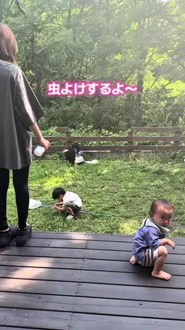 小さな森の家族のTikTok投稿