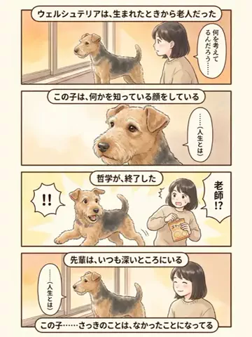 都内のチワワのTikTok投稿