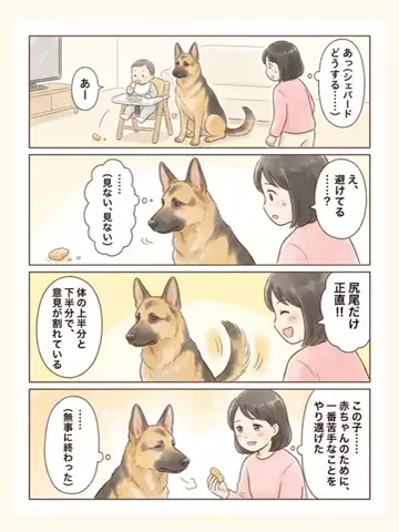 都内のチワワのTikTok投稿