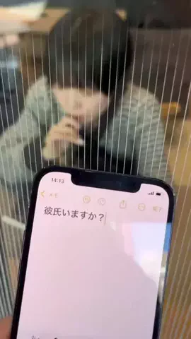 彼氏っている？のTikTok投稿