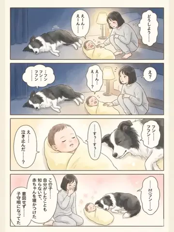 都内のチワワのTikTok投稿