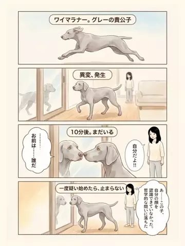 都内のチワワのTikTok投稿
