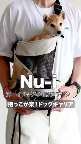 豆柴みそのTikTok投稿