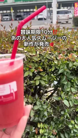 AmOのたべろぐのTikTok投稿