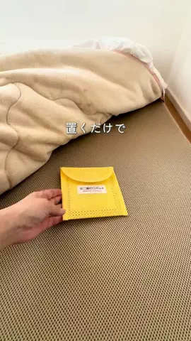 はる | 築48年の実家暮らしのTikTok投稿