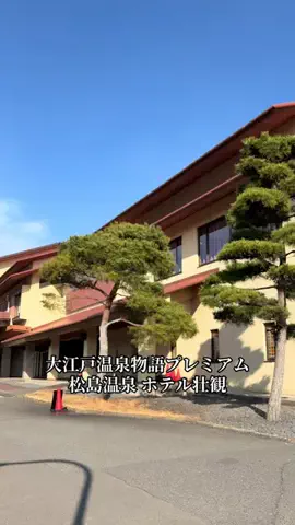 PEKOPONWIGのTikTok投稿
