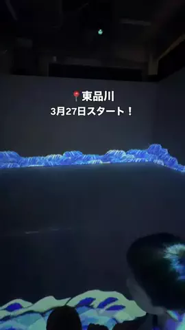 RioのTikTok投稿