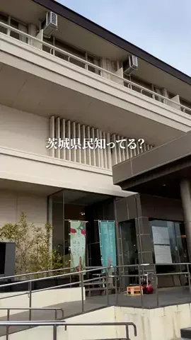 茨城グルメ／IBARAKI SELECTのTikTok投稿