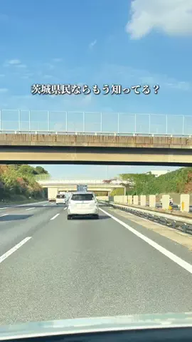 茨城グルメ／IBARAKI SELECTのTikTok投稿
