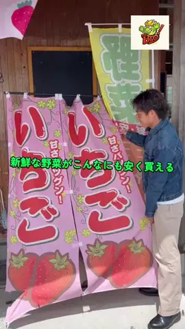 H!me BroのTikTok投稿