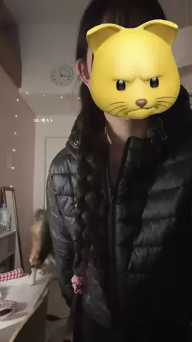 ㄱㅅのTikTok投稿