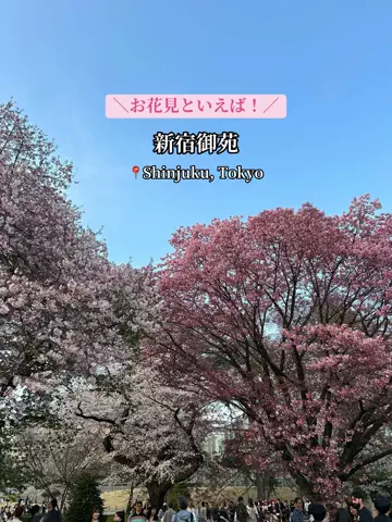 かえで旅/Kaede TravelのTikTok投稿