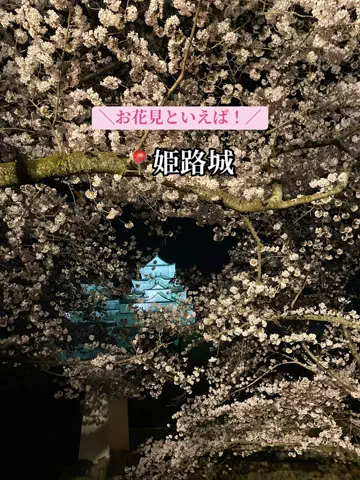 かえで旅/Kaede TravelのTikTok投稿