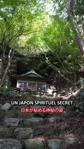 Ichiban JapanのTikTok投稿