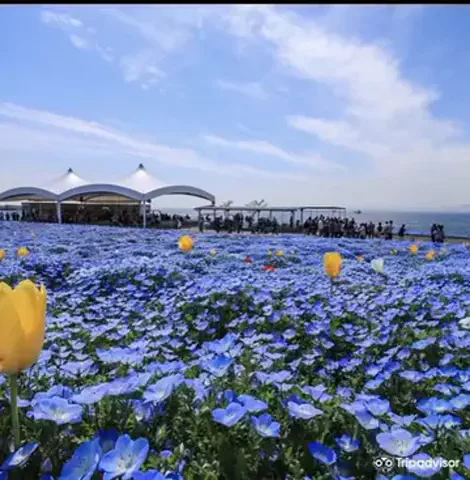 utautamankoのTikTok投稿
