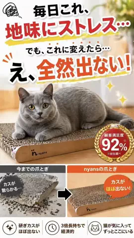 ねこまんま₍^..^₎のTikTok投稿