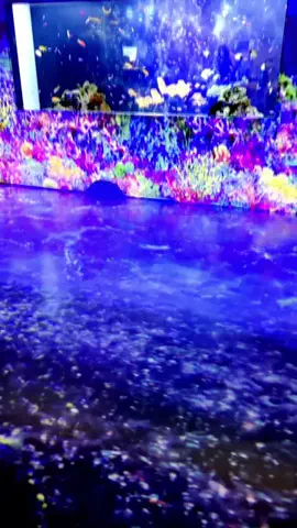 Japan Tourism | 泊まりたくなるホテルのTikTok投稿