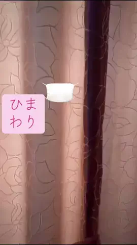 広野ゐゔ（本名捨てる予定）のTikTok投稿