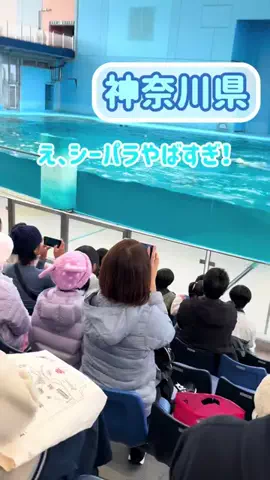阿川麻美 Asami AgawaのTikTok投稿