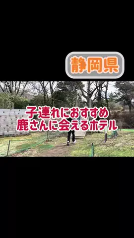 阿川麻美 Asami AgawaのTikTok投稿