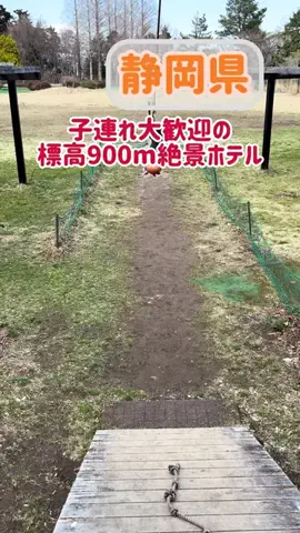 阿川麻美 Asami AgawaのTikTok投稿