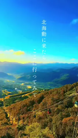 遠いあなたに届きますようにのTikTok投稿