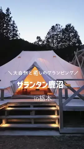 のんきちゃん🧚のTikTok投稿