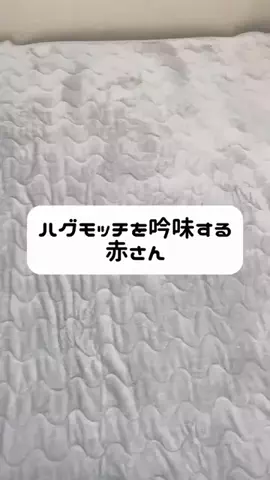キュートアグレッションママのTikTok投稿