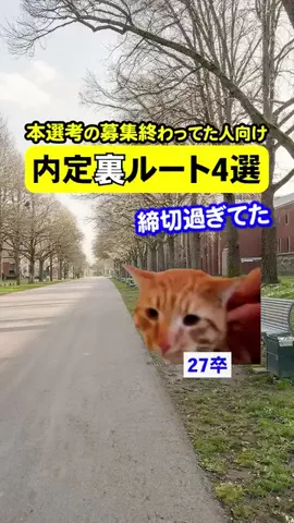 就活猫猫のTikTok投稿