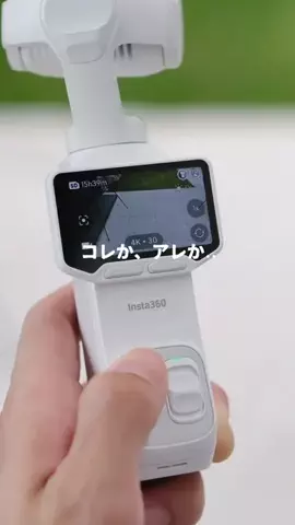 マメのTikTok投稿